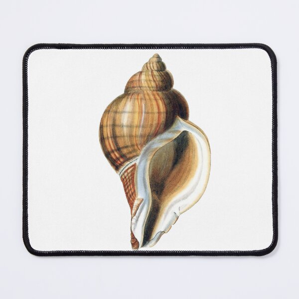 Item preview, Vintage Seashell Illustration designed and sold by HawthorneFlame.