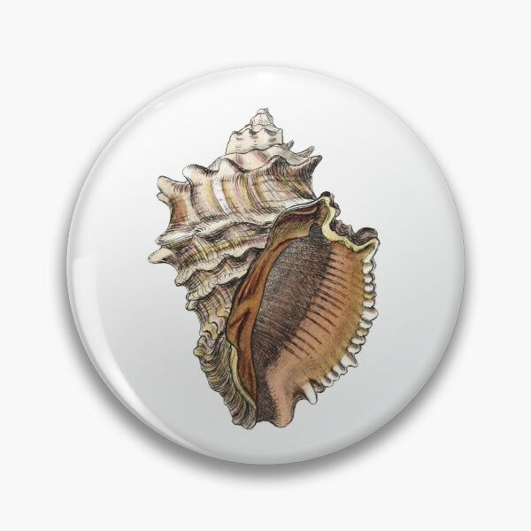 Item preview, Vintage Seashell Illustration 2 designed and sold by HawthorneFlame.