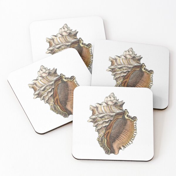 Item preview, Vintage Seashell Illustration 2 designed and sold by HawthorneFlame.