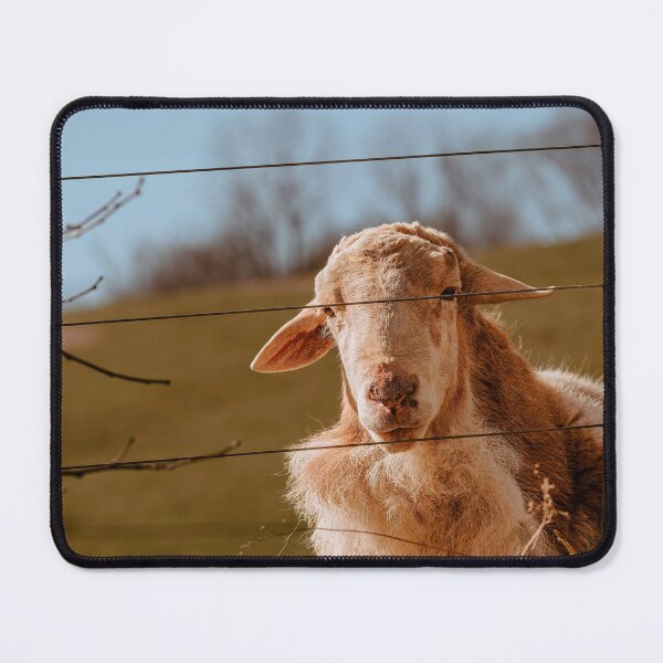 Item preview, Peaceful Rural Moment designed and sold by Jim Love.