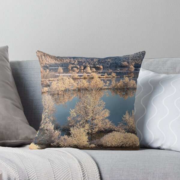 Winter trees Throw Pillow