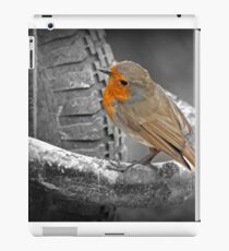 Taking A Rest iPad Case/Skin