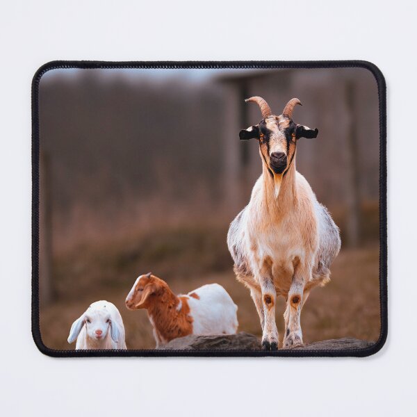 Item preview, Eye Contact designed and sold by Jim Love.