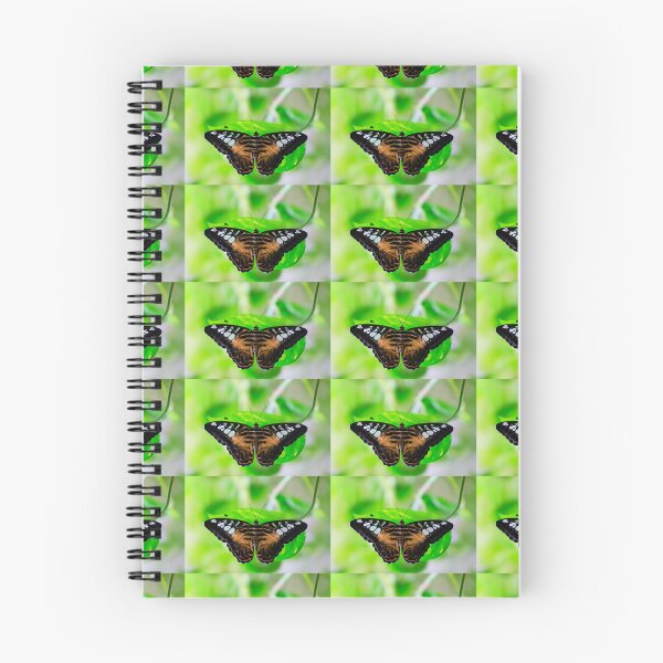 Item preview, Butterfly 25 - (c) ben yassa designed and sold by beny .
