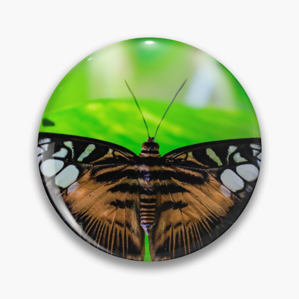 Item preview, Butterfly 25 - (c) ben yassa designed and sold by beny .