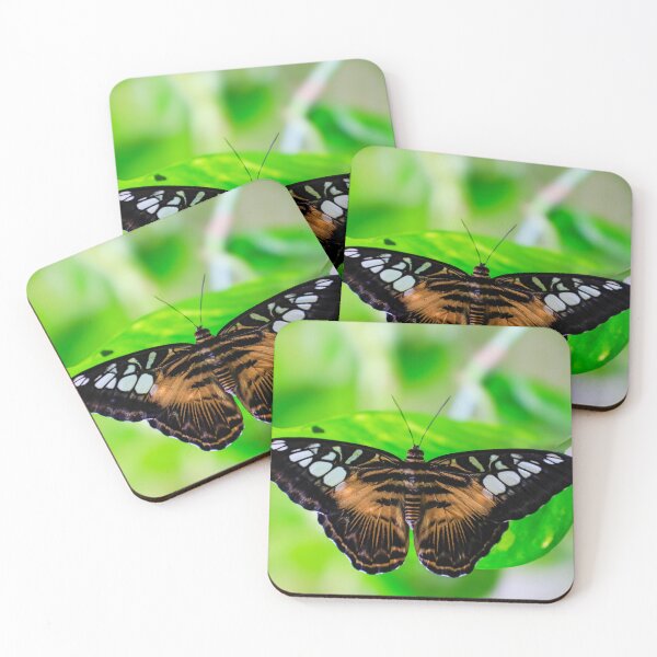 Item preview, Butterfly 25 - (c) ben yassa designed and sold by beny .