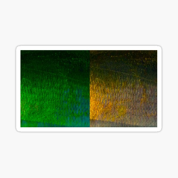 Vista previa del artículo con la obra «Piel de pez azul de color verde y dorado al atardecer», diseñado y vendido por CJRPics.