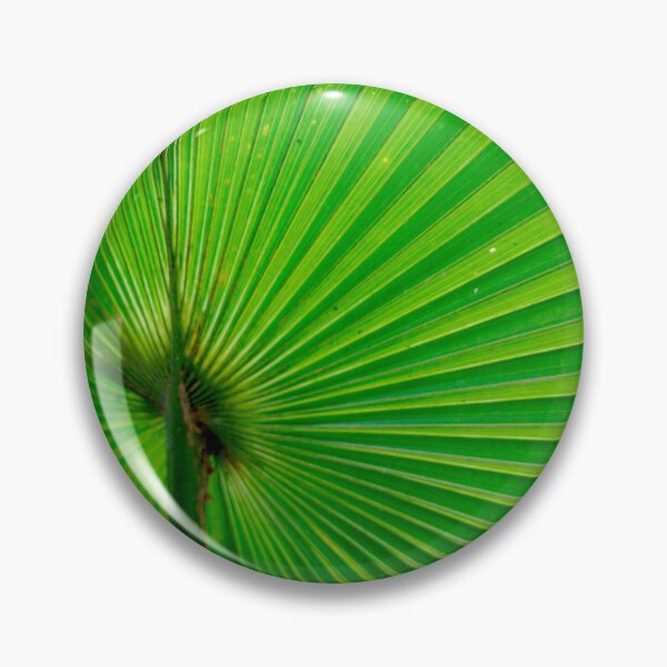 Item preview, Leaf 16 - (c) ben yassa designed and sold by beny .