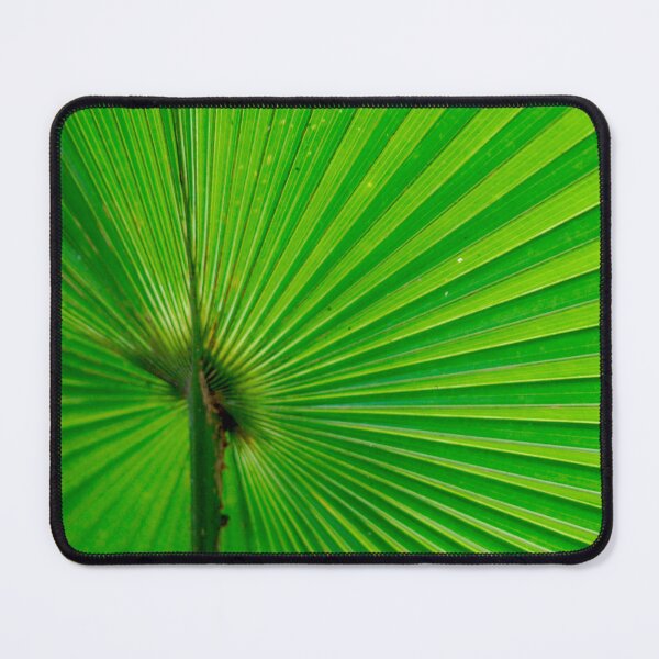 Item preview, Leaf 16 - (c) ben yassa designed and sold by beny .