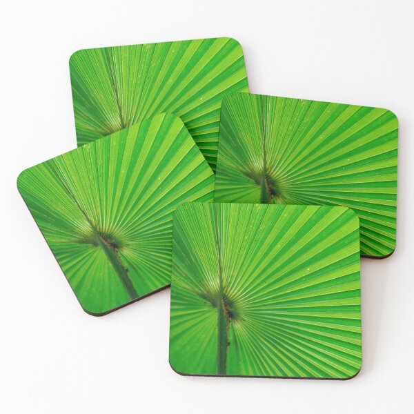 Item preview, Leaf 16 - (c) ben yassa designed and sold by beny .