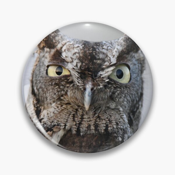 Item preview, Screech Owl Stare  designed and sold by richardbryce.