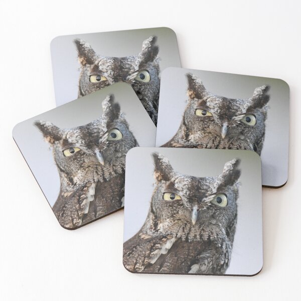 Item preview, Screech Owl Stare  designed and sold by richardbryce.