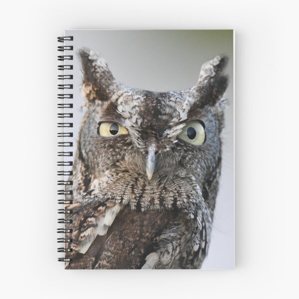 Item preview, Screech Owl Stare  designed and sold by richardbryce.