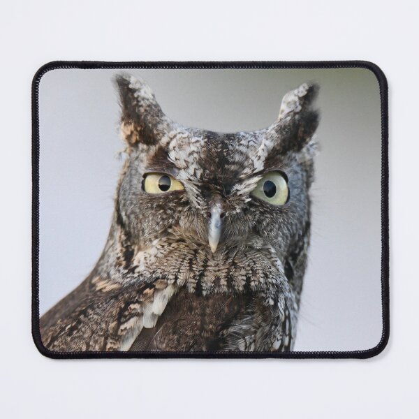Item preview, Screech Owl Stare  designed and sold by richardbryce.