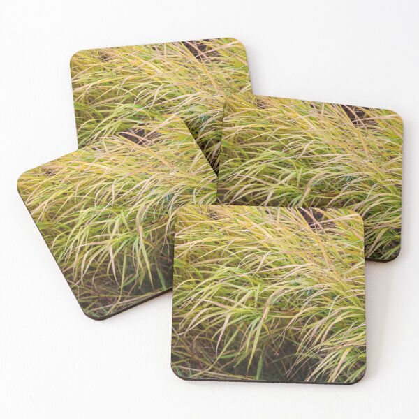 Item preview, Autumn Grasses designed and sold by jenstever.