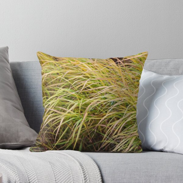 Item preview, Autumn Grasses designed and sold by jenstever.
