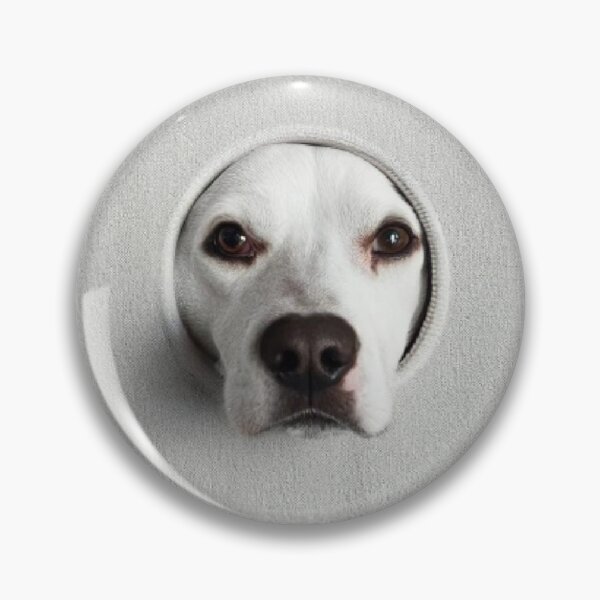 Item preview, Dog's head designed and sold by Laviniaalexa1.
