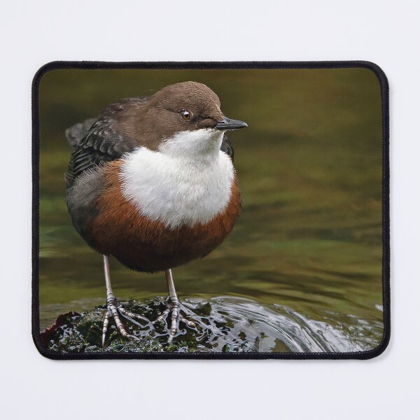 Item preview, Dipper designed and sold by Tom McPherson Photography.