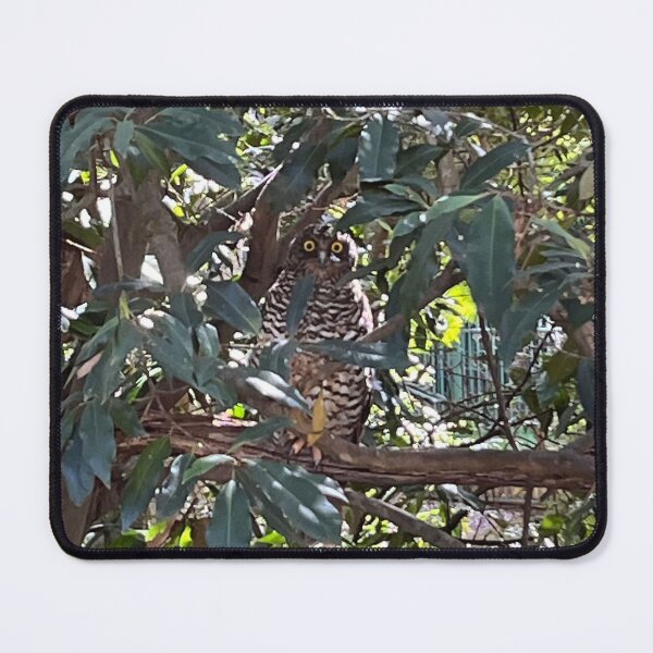 Item preview, Powerful Owl - Jannali, NSW designed and sold by Arcane Botanica.