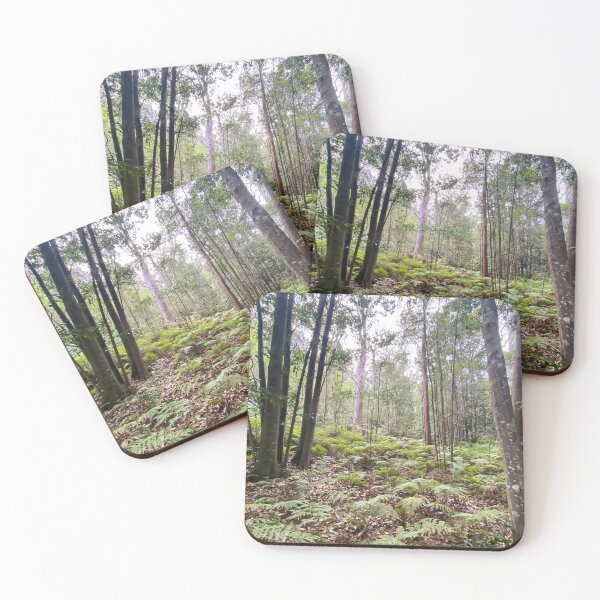 Item preview, Rainforest - Sydney, Australia designed and sold by Arcane Botanica.