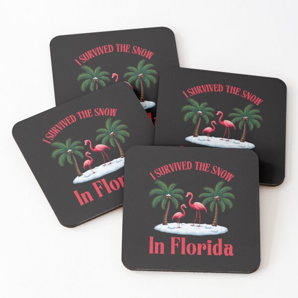 Item preview, I Survived The Snow In Florida: A Rare and Chilly Sunshine State Experience designed and sold by elynne9.