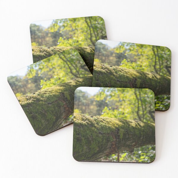 Item preview, Mossy designed and sold by Crystal Vision Photo Art.
