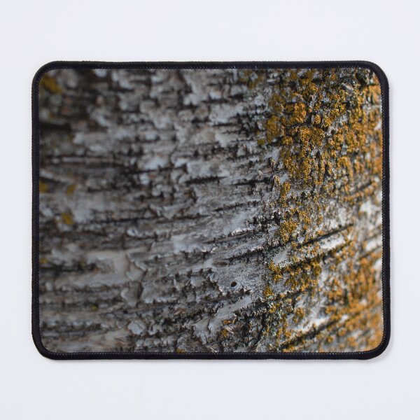Item preview, Mossy Stump designed and sold by Crystal Vision Photo Art.