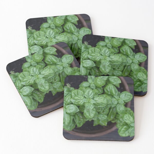 Item preview, Basil designed and sold by Crystal Vision Photo Art.