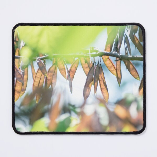 Item preview, Translucent Pods designed and sold by Crystal Vision Photo Art.