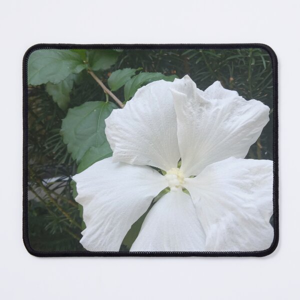 Item preview, Calmness  designed and sold by artorigins2.