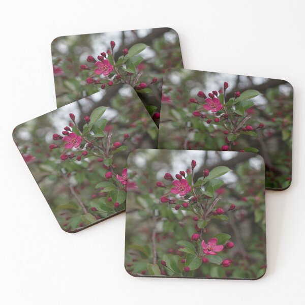 Item preview, Magenta designed and sold by Crystal Vision Photo Art.