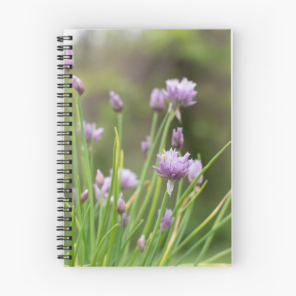 Item preview, Chive Blossoms designed and sold by Crystal Vision Photo Art.