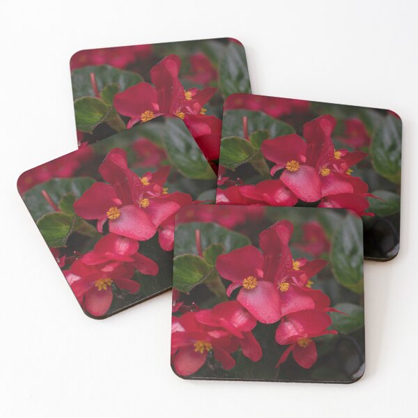 Item preview, Red Begonias designed and sold by Crystal Vision Photo Art.