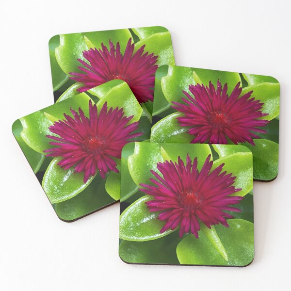 Item preview, in full bloom designed and sold by BeNaturally24.