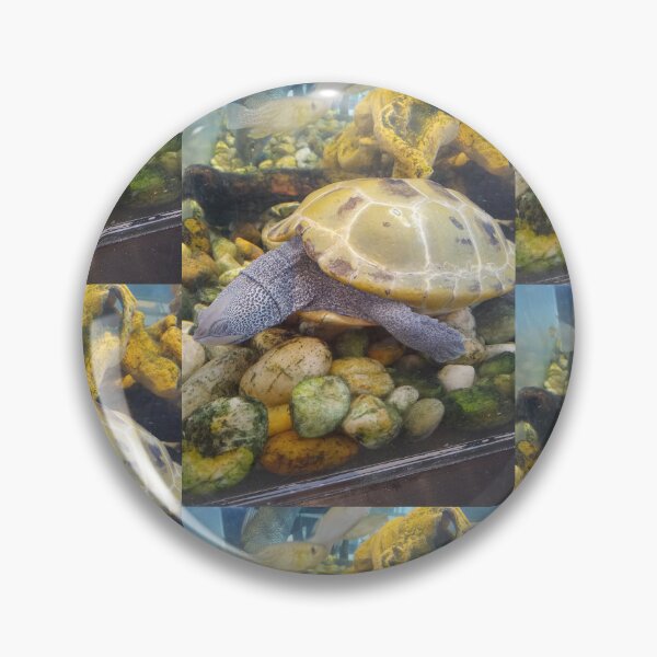Item preview, Terrapin Turtle  designed and sold by artorigins2.