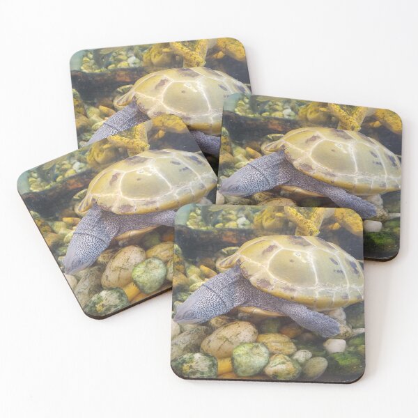 Item preview, Terrapin Turtle  designed and sold by artorigins2.
