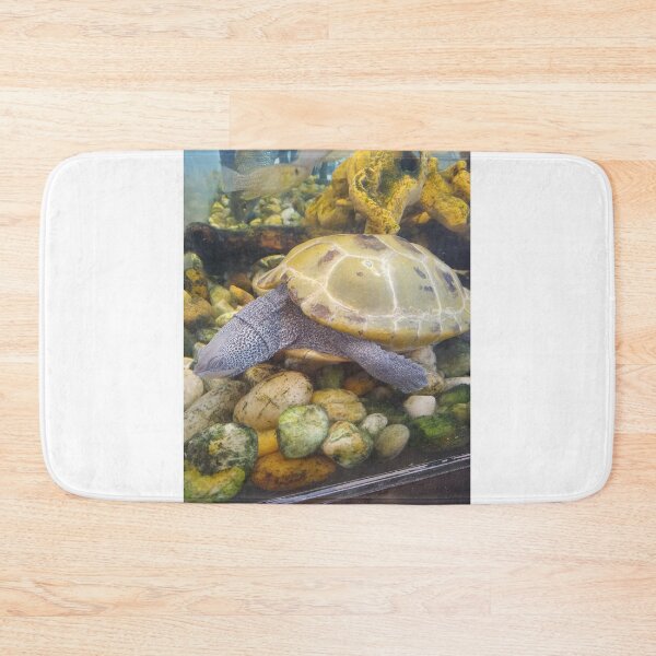 Item preview, Terrapin Turtle  designed and sold by artorigins2.