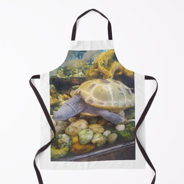 Item preview, Terrapin Turtle  designed and sold by artorigins2.