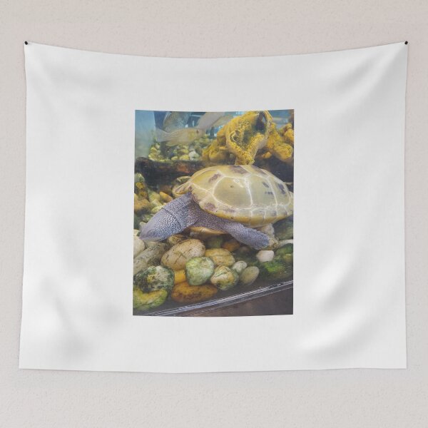 Item preview, Terrapin Turtle  designed and sold by artorigins2.