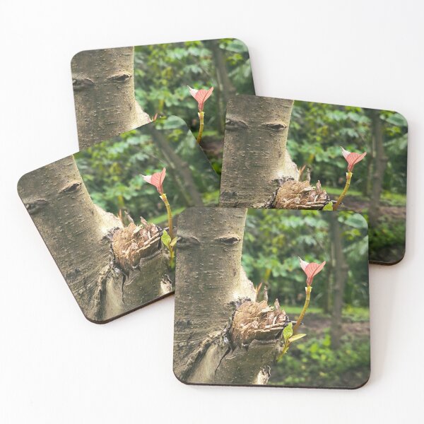 Item preview, Photograph of tree tops emerging from trunks. designed and sold by Beeza Art Shop.