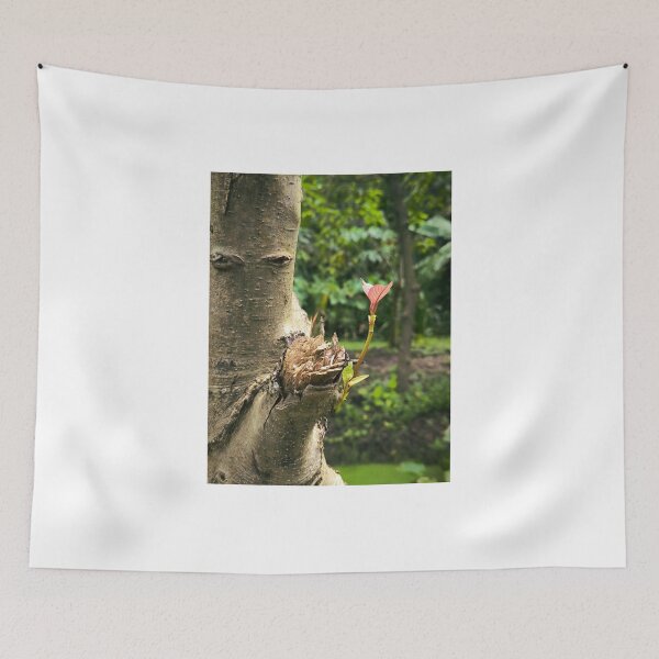 Item preview, Photograph of tree tops emerging from trunks. designed and sold by Beeza Art Shop.