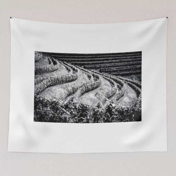 Item preview, The fields of Friuli Venezia-Giulia cultivated with grapevines designed and sold by zakaz86.