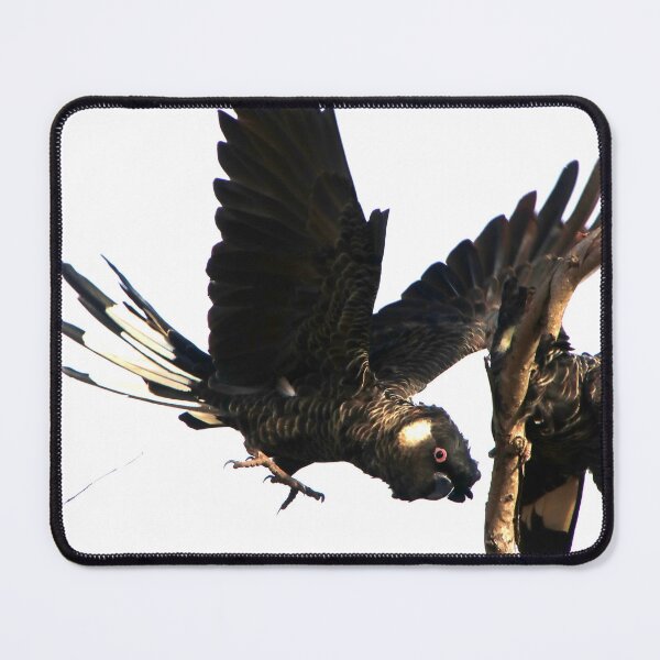 Item preview, Crazy Birds designed and sold by Melville.Collective.
