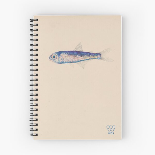 Item preview, Hudson Canyon Lanternfish designed and sold by WCS-Archives.