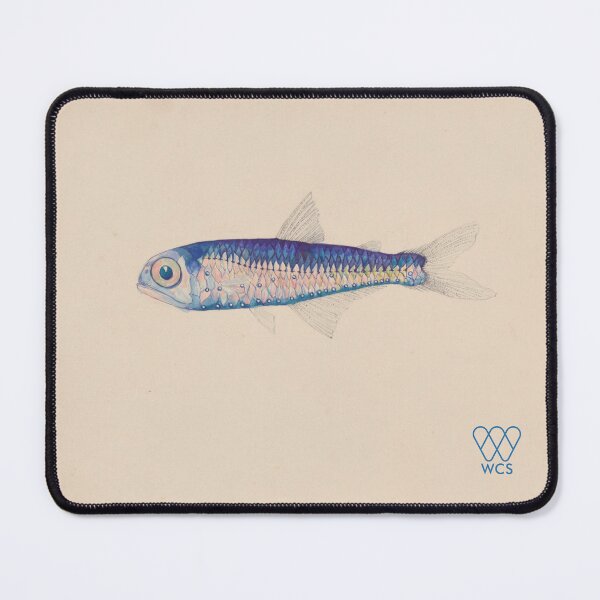 Item preview, Hudson Canyon Lanternfish designed and sold by WCS-Archives.