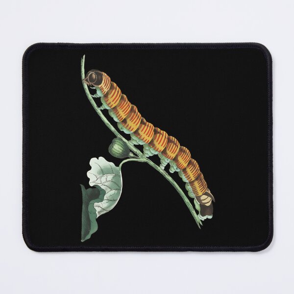 Item preview, Day Gift For Special The Very Hungry Caterpillar Awesome For Movie Fan designed and sold by ChristophPouros.