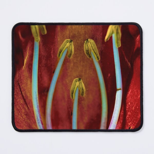 Item preview, Flowers and roses 132 - (c) ben yassa designed and sold by beny .