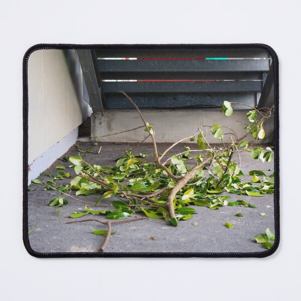 Aperçu de l'œuvre Déclin urbain avec branches tombées sous un escalier créée et vendue par Michael McGimpsey.