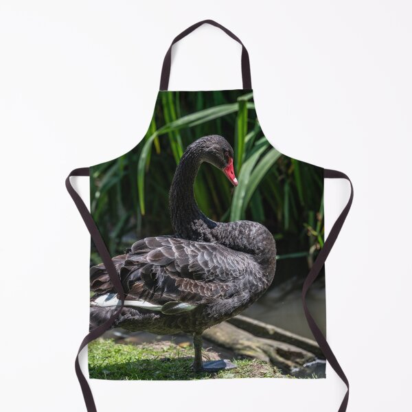 Artikelvorschau, Eleganter schwarzer Schwan am Wasser entworfen und verkauft von David Patterson.