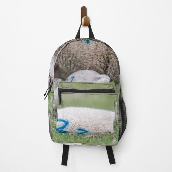 Item preview, Sheep with Lambs Nursing in a Pasture designed and sold by David Patterson.